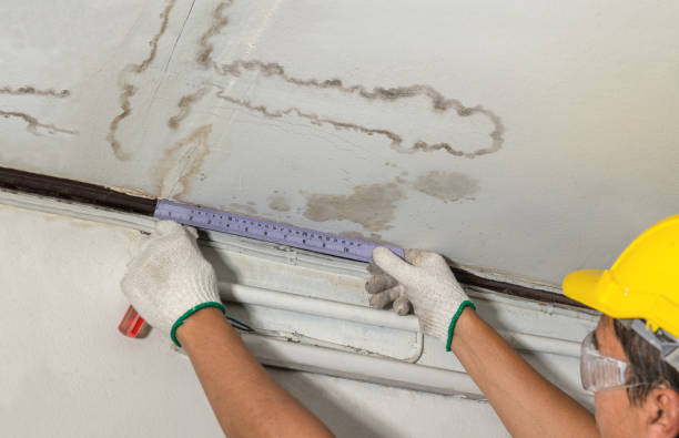 Reliable Water Damage contractor in Lamona, WA by Water Damage Irwin